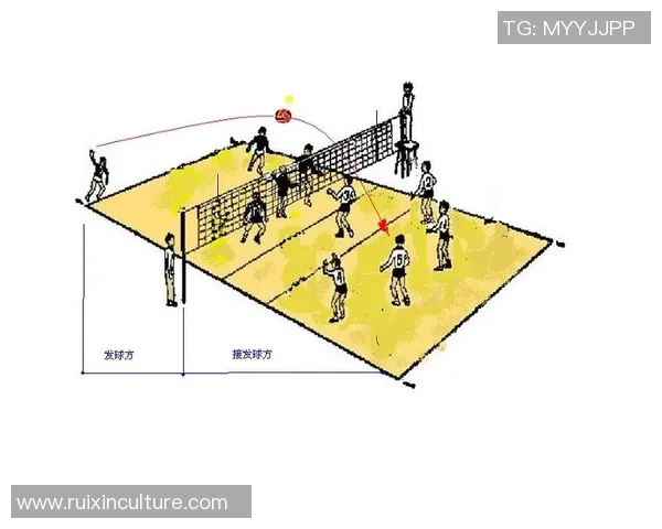 排球战术深度解析：上海排球队的成功之道与背后策略揭秘